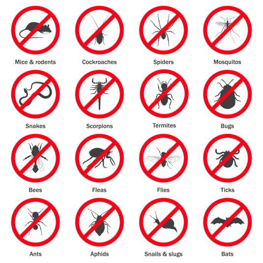 Pest and insect control icons set. Vector EPS8 illustration.